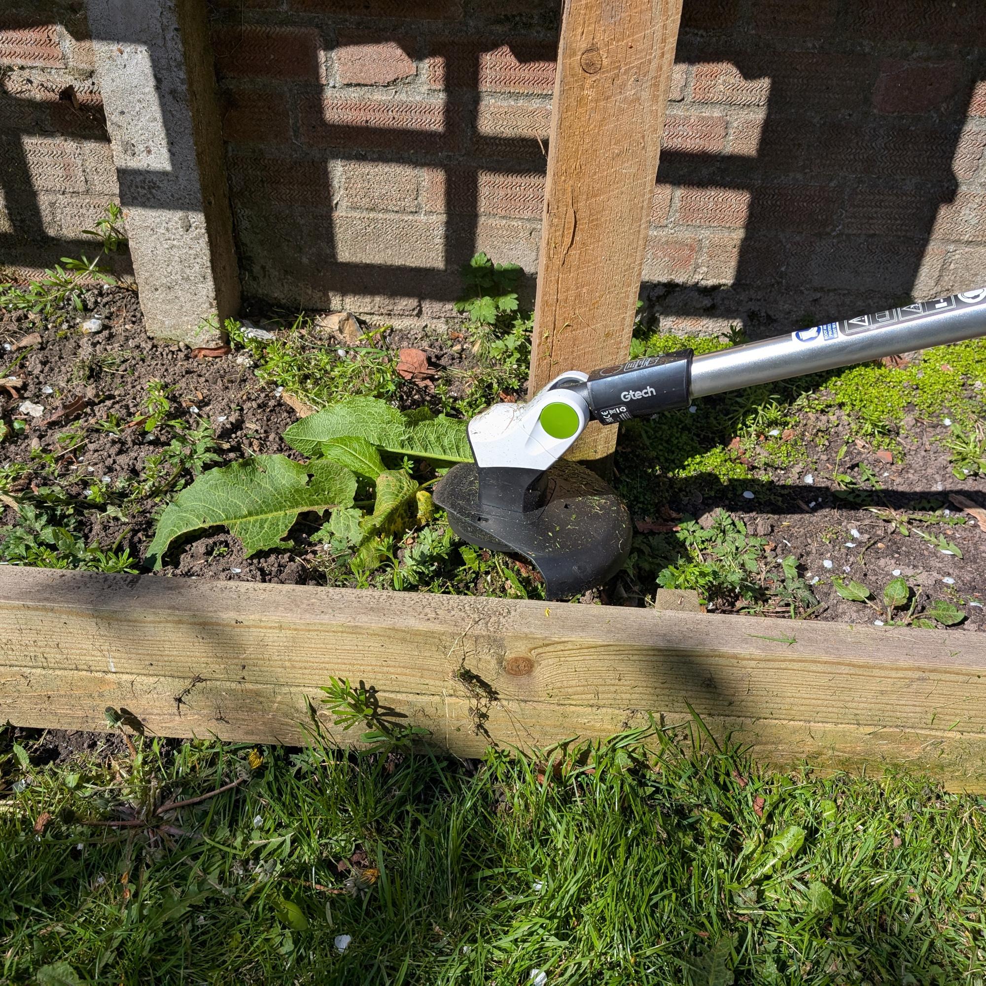 gtech gt50 grass trimmer in raised bed in a garden