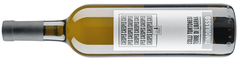 DEC273.perfect_pairing.ezio_poggio_caespes_timorasso_colli_tortonesi_terre_di_libarna_2019_for-web-2.jpg