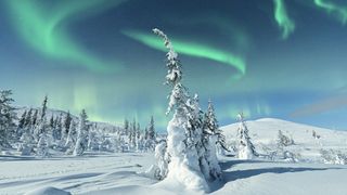 Snowy landscape with aurora overhead