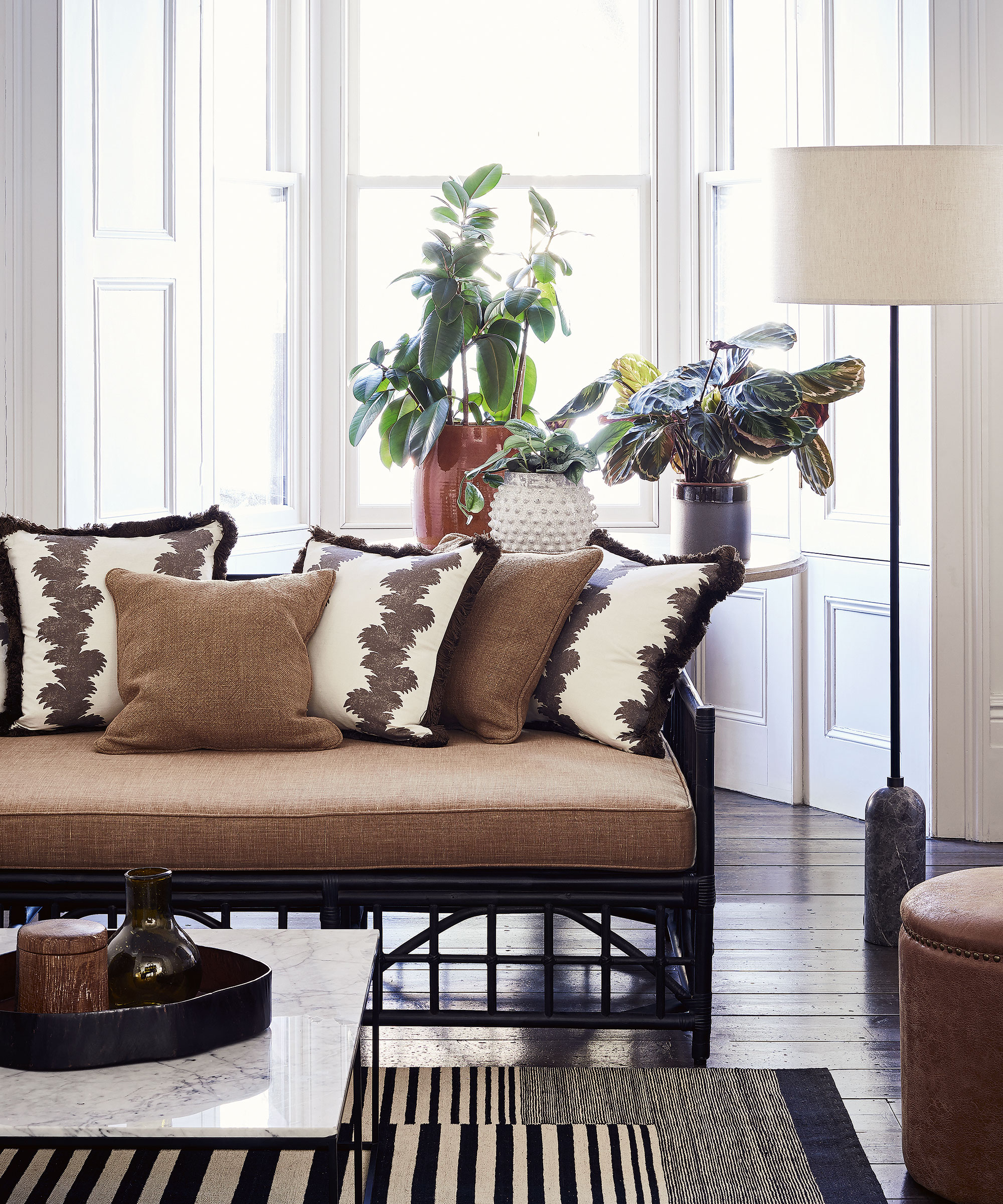 Living room with brown detailing, dark wood flooring and a table of leafy plants