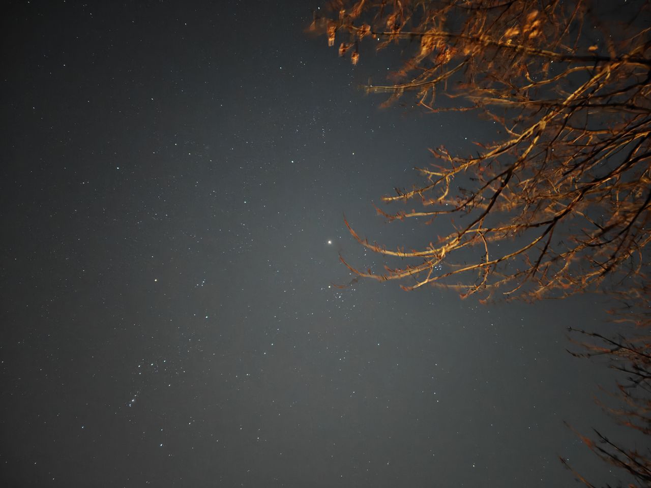 OnePlus 13 astrophotography sample.