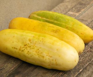 Mature yellow cucumbers on a board