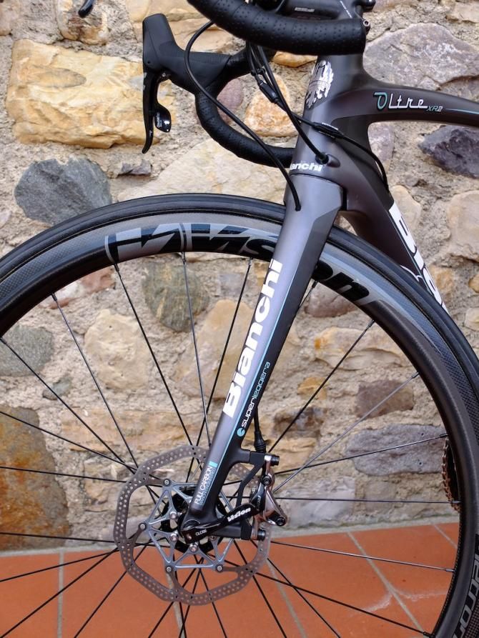 Hydraulic brake hoses are mostly internally routed, such as this one in the fork leg