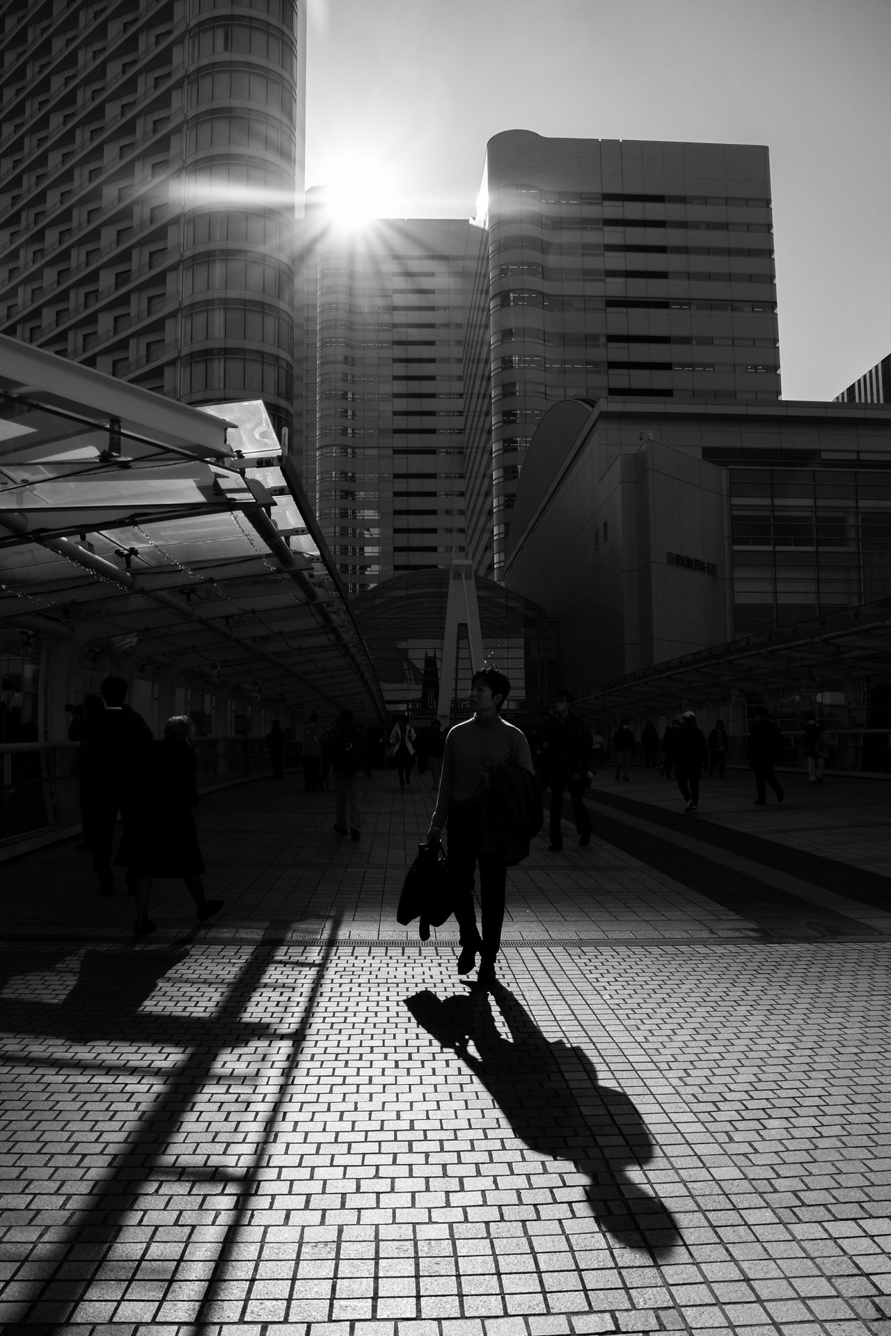 Test shot taken with Sigma 16-300mm f/3.5-7.1 | C in Tokyo Japan