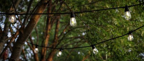 Brightech Ambience Pro LED Outdoor String Lights