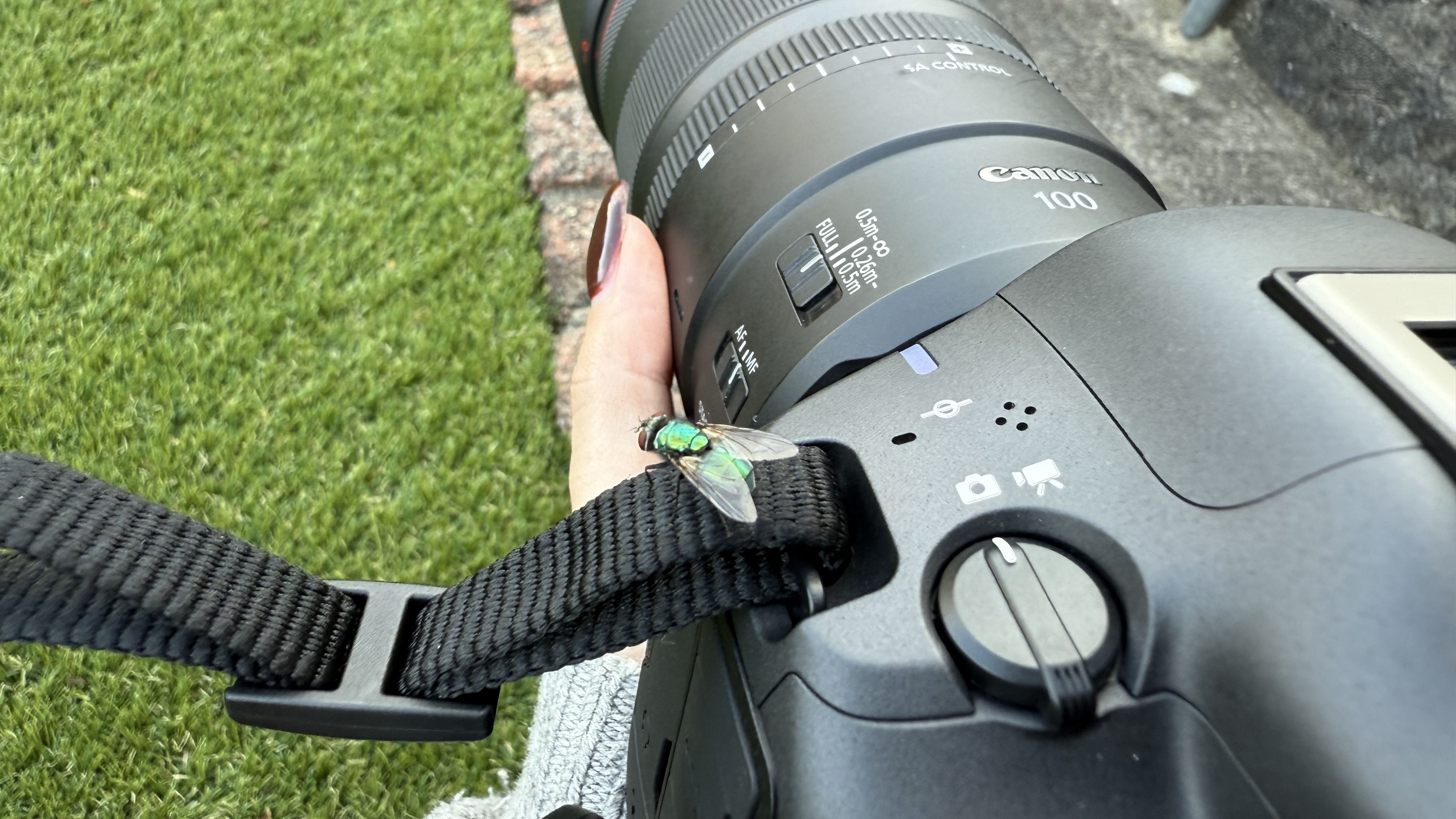 fly on a camera