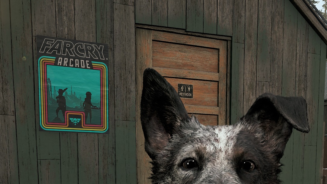 Far Cry 5 Details Far Cry Arcade