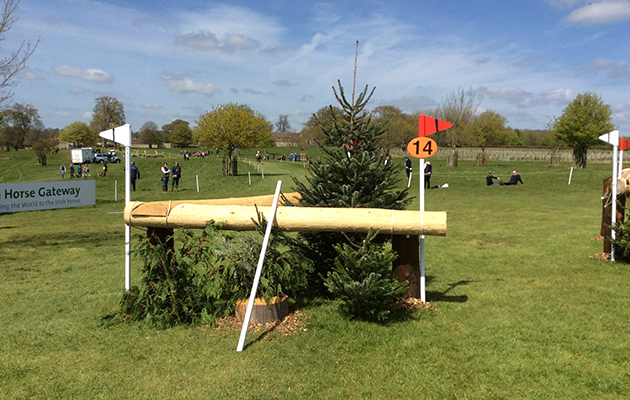 BADMINTON GRASSROOTS COURSE WALK 2016 image_00033