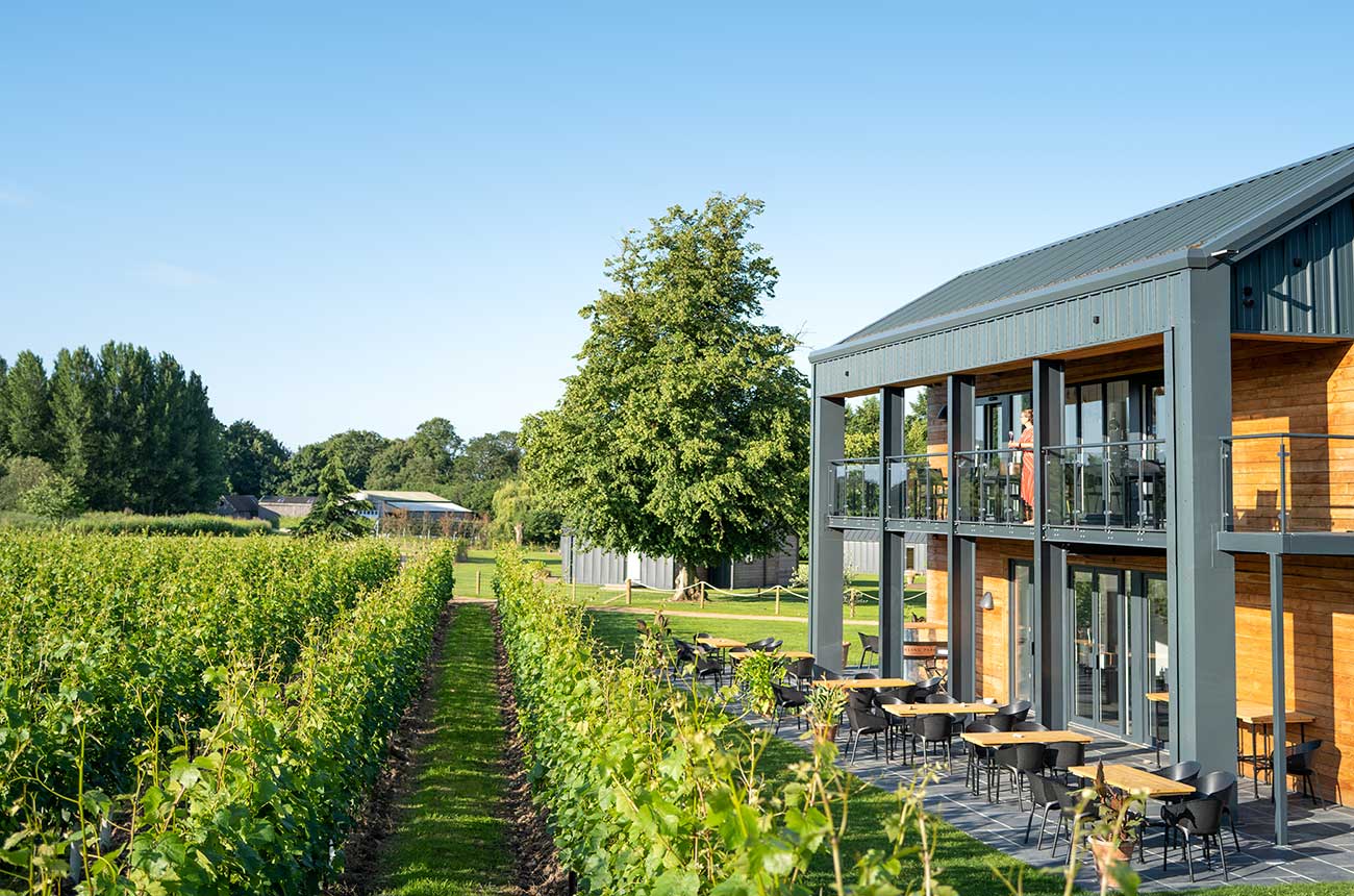 Tasting-Room-at-Ashling-Park-Estate.jpg
