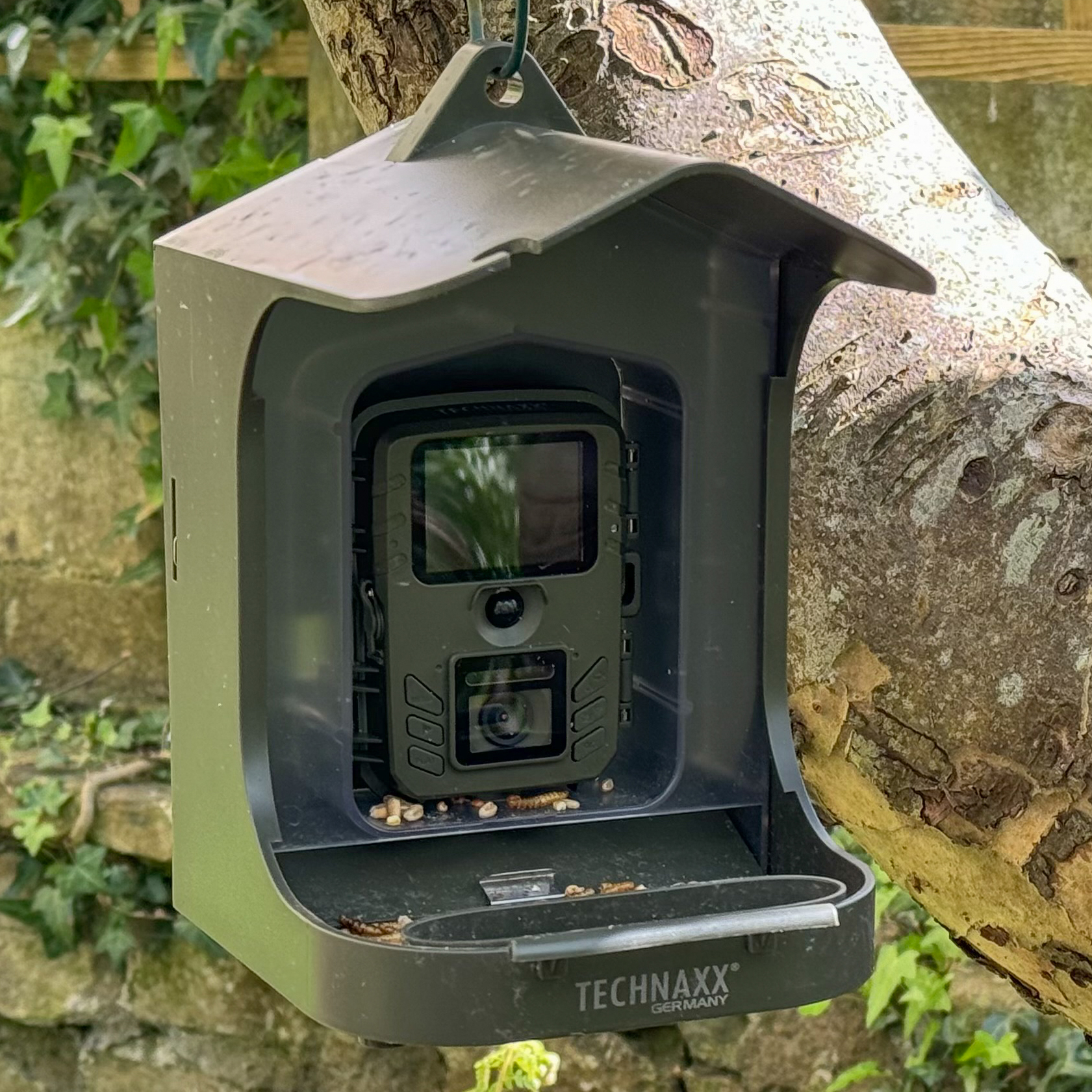 The Technaxx Birdcam TX-165 attached to a tree