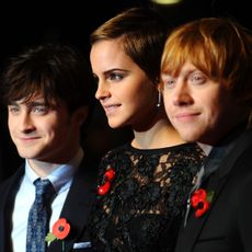 'Harry Potter and the Deathly Hallows Part 1' World Premiere - London