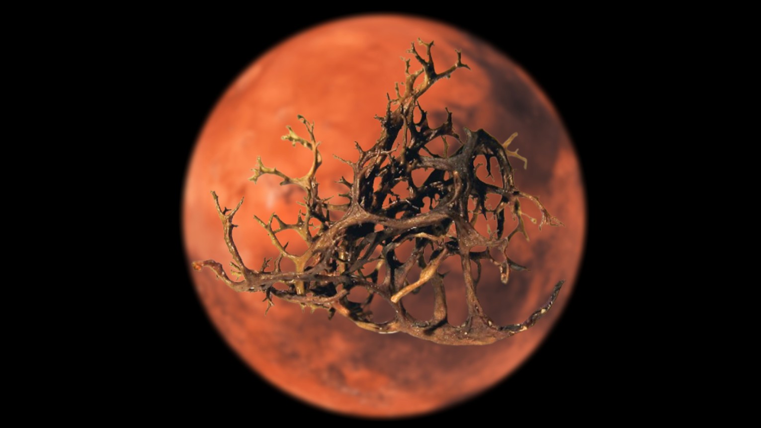 A new study has revealed that lichens can withstand the intense ionizing radiation that hits Mars&#039; surface. (The lichen in this photo is Cetraria aculeata.)
