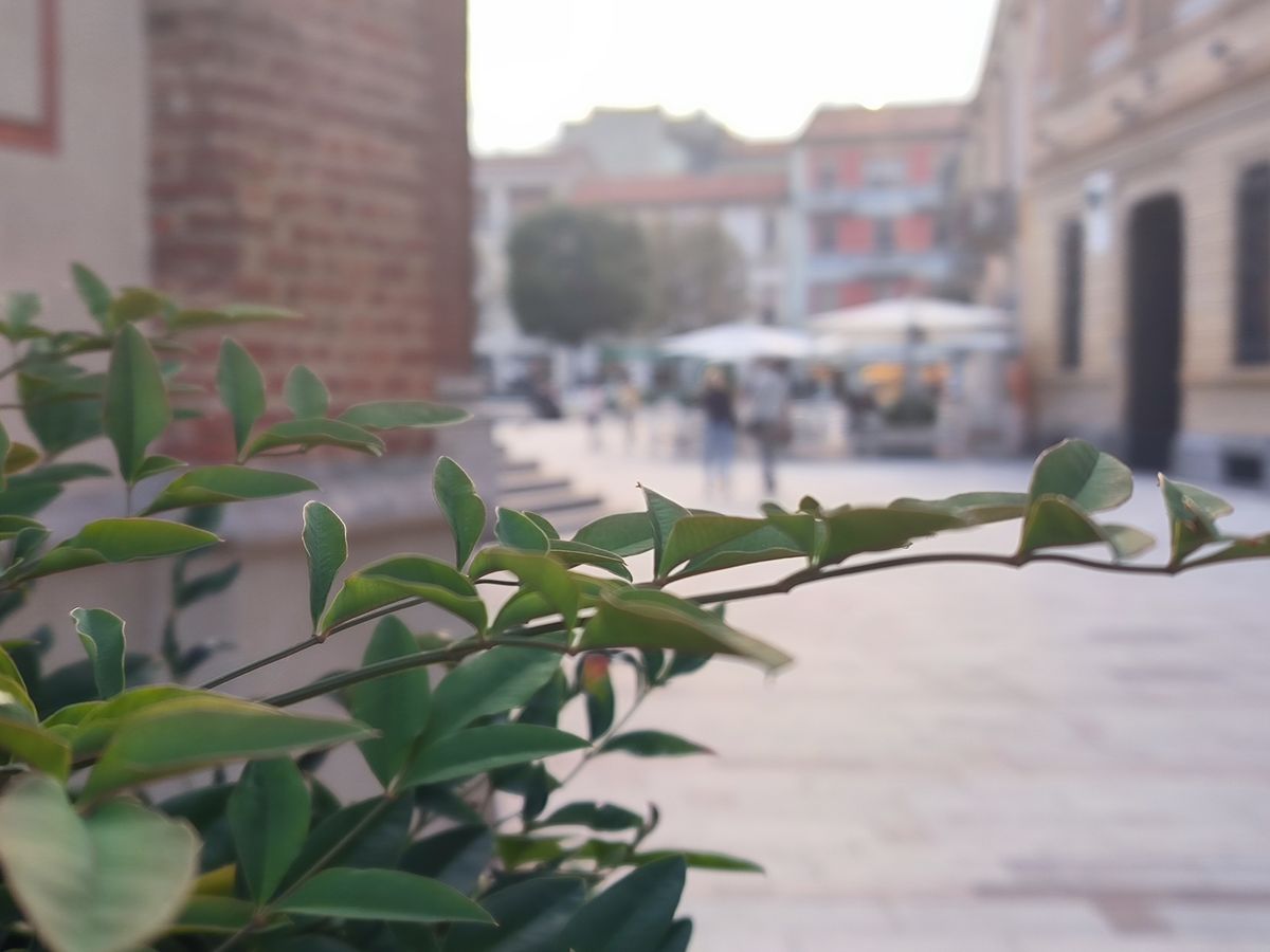 Xiaomi 12T