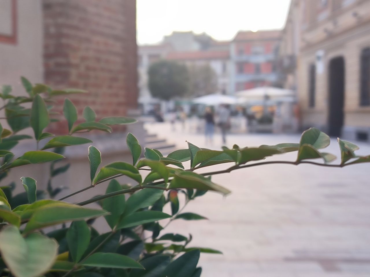 Xiaomi 12T