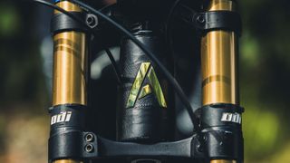 Limited Edition Atherton Bikes AM200 head tube detail
