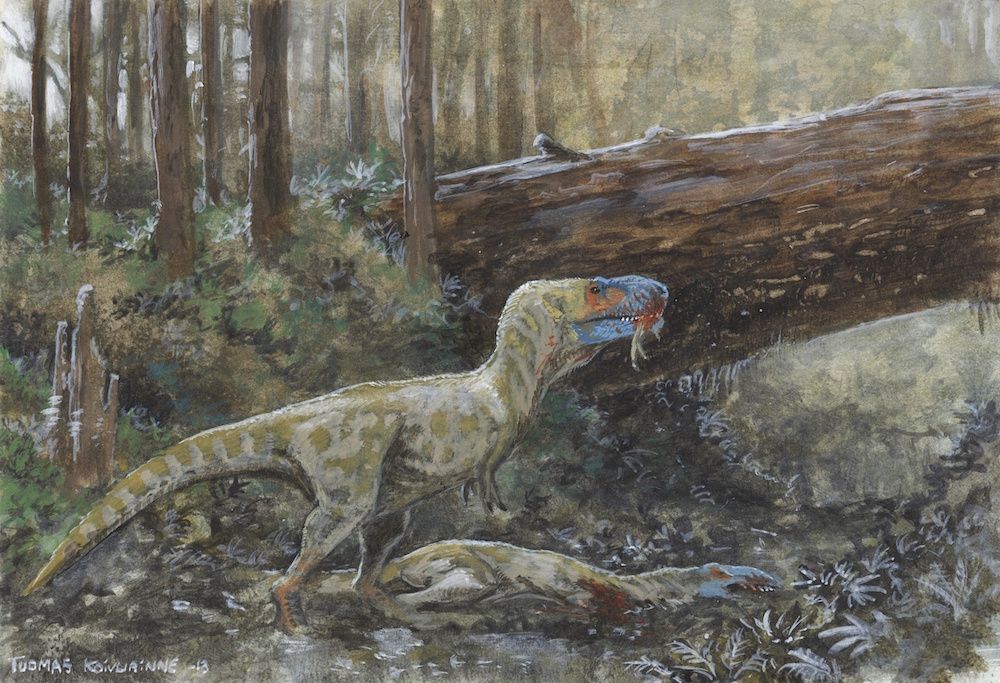 Tyrannosaur cannibalism