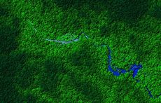 View of Honduras rainforest, taken from the LiDAR plane
