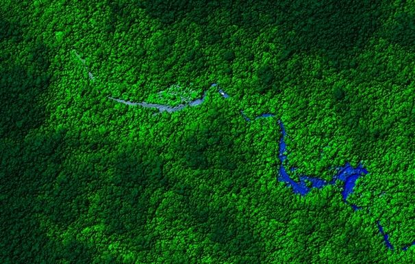 View of Honduras rainforest, taken from the LiDAR plane