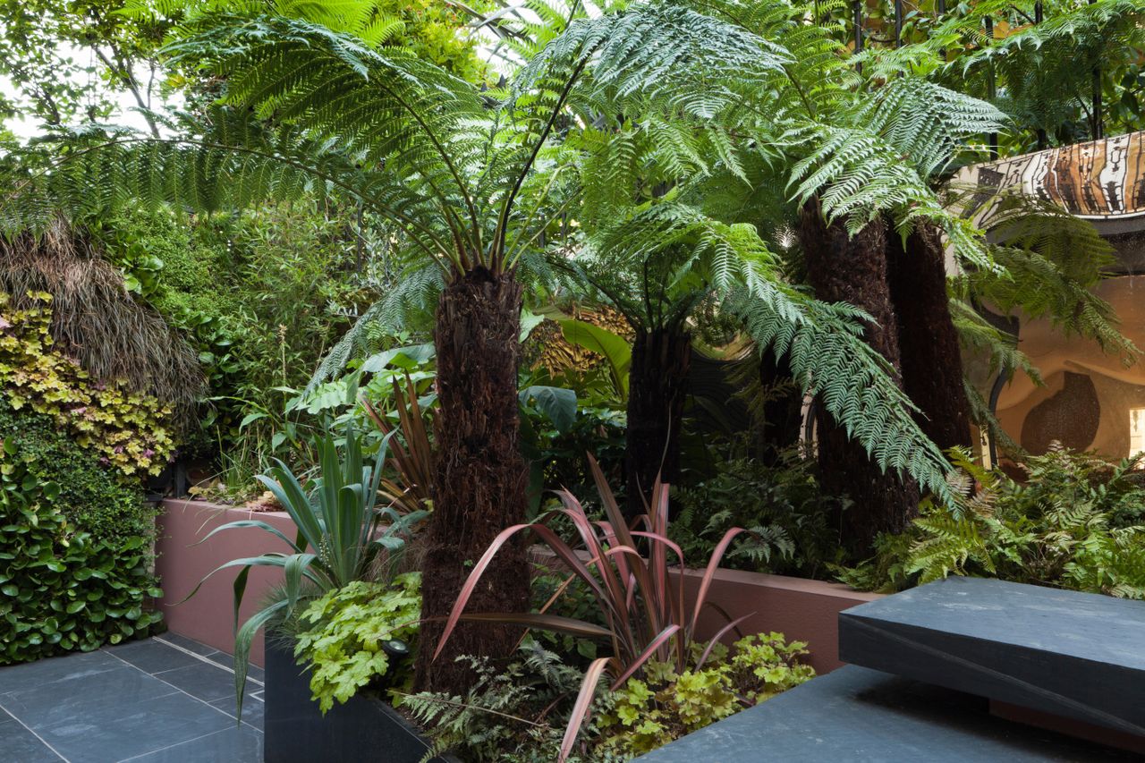 Best trees for small gardens 8 varieties that thrive in a tiny space