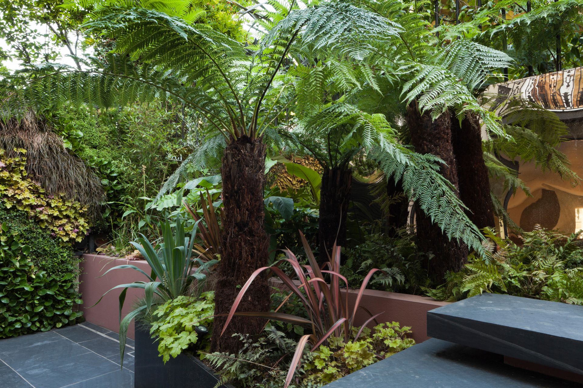 Best trees for small gardens 8 varieties that thrive in a tiny space