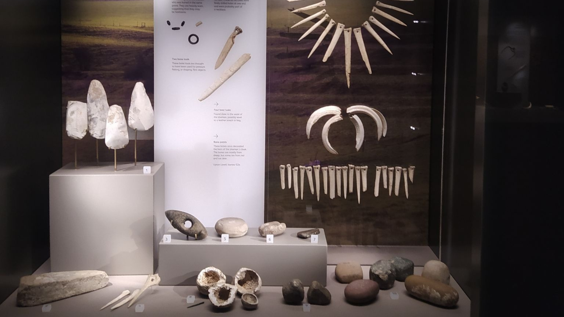 Ancient DNA reveals shaman buried near Stonehenge was female, ‘breaking stereotypes’ of Early Bronze Age women Ancient DNA reveals shaman buried near Stonehenge was female, ‘breaking stereotypes’ of Early Bronze Age women