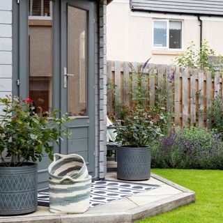 Outdoor shed on lawn and patio against fencing with colourful borders and potted plants