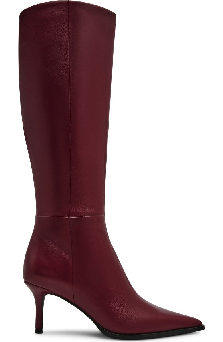 Lingo Pointed Toe Knee High Boot