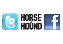 hh-fbook-twitter.jpg