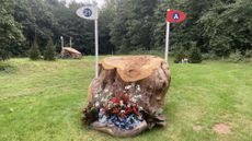 image00001-1.jpeg