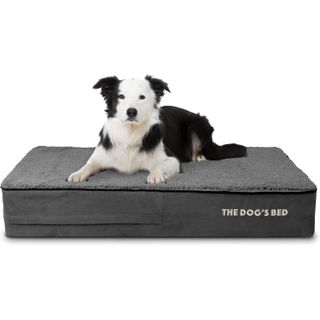 The Dog’s Bed Orthopedic Dog Bed