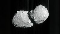 a grey, double-lobed rock on a black background. the surfaces of the two lobes are covered in boulders of various sizes
