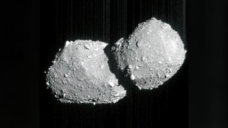 a grey, double-lobed rock on a black background. the surfaces of the two lobes are covered in boulders of various sizes