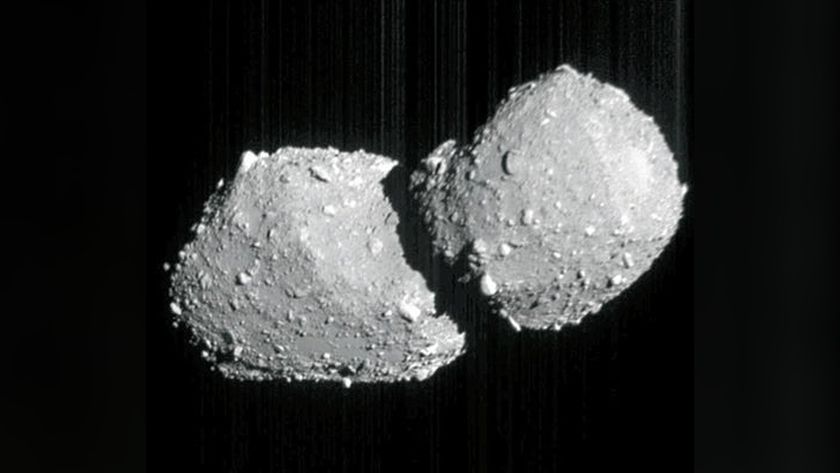 a grey, double-lobed rock on a black background. the surfaces of the two lobes are covered in boulders of various sizes
