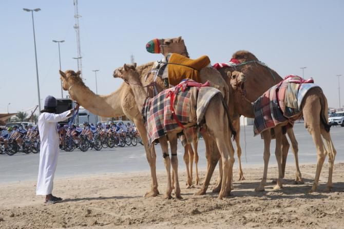 Stage 2 of the Ladies Tour of Qatar departed the Camel Race Track