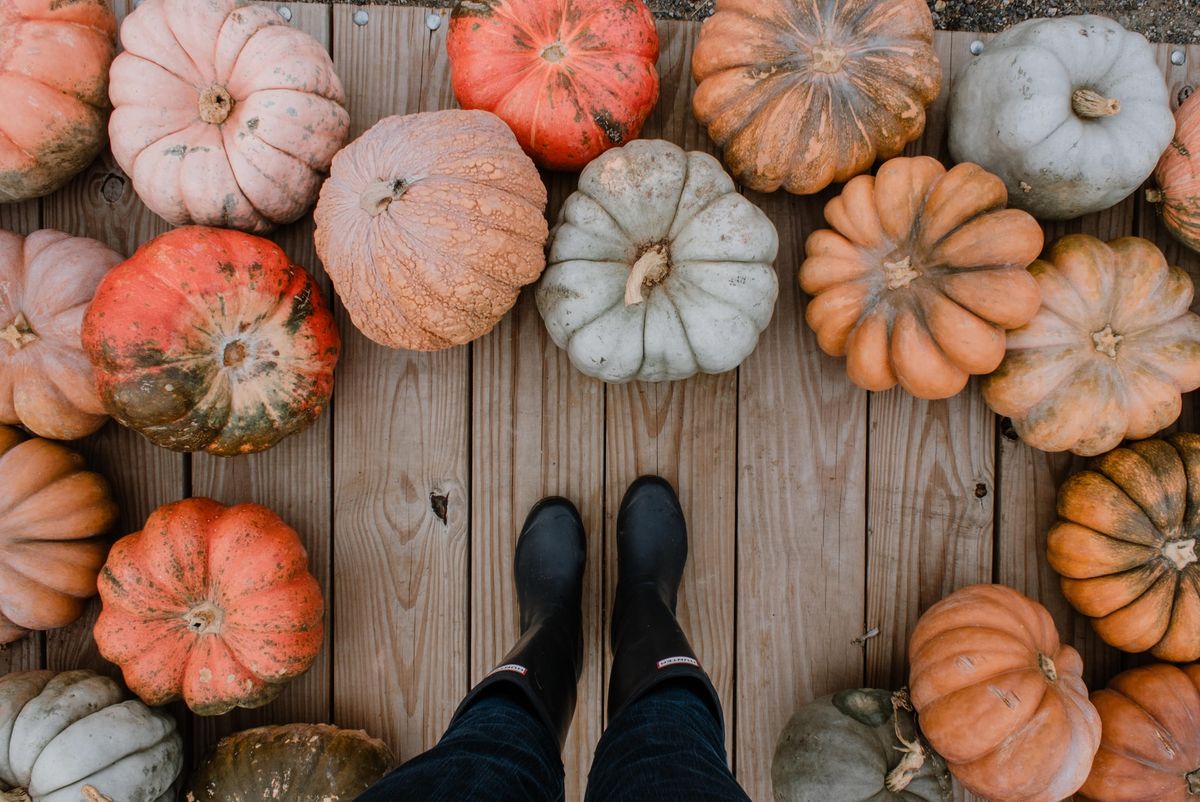 Que faire des citrouilles après Halloween 