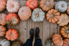 What to do with pumpkins after Halloween