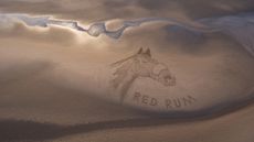 Red-Rum-Beach-Art-15.jpg
