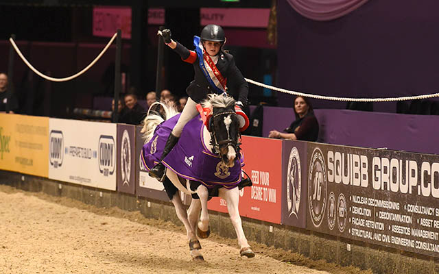 Rachel Proudley riding PAINTED LADY IV owned by Paul Proudley, winner of the 128 cm Championship (Class 7) during HOYS in the NEC in Warwickshire in the UK on 8th October 2016