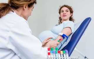 pregnant woman having blood test