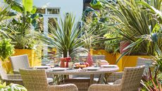 best tropical plants: urban garden with dining area surrounded by tropical plants