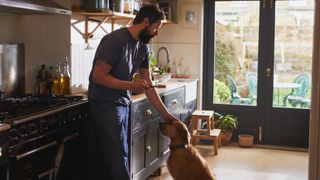 Man pets dog on the head