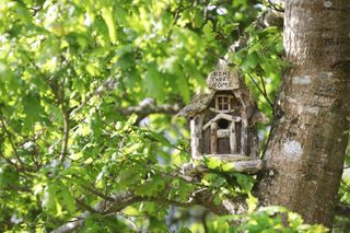 bird house design ideas: rustic style in tree
