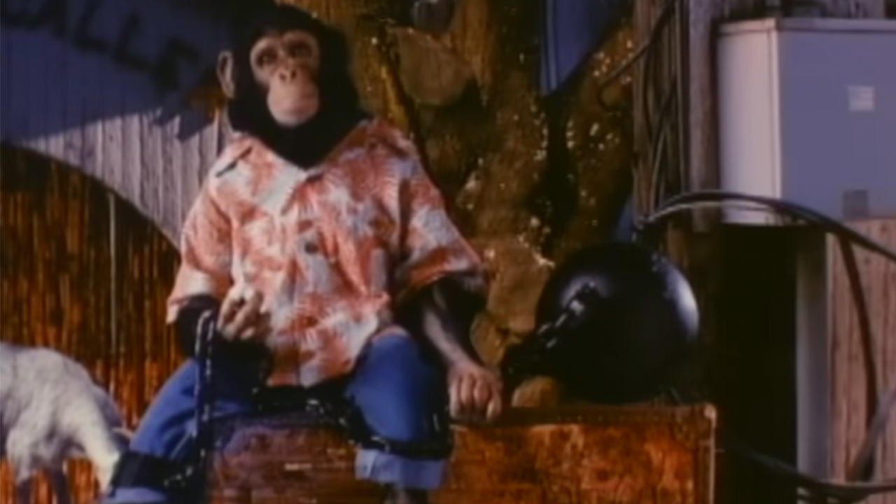 Bubbles in an aloha shirt and jeans in the Michael Jackson video for "Leave Me Alone"
