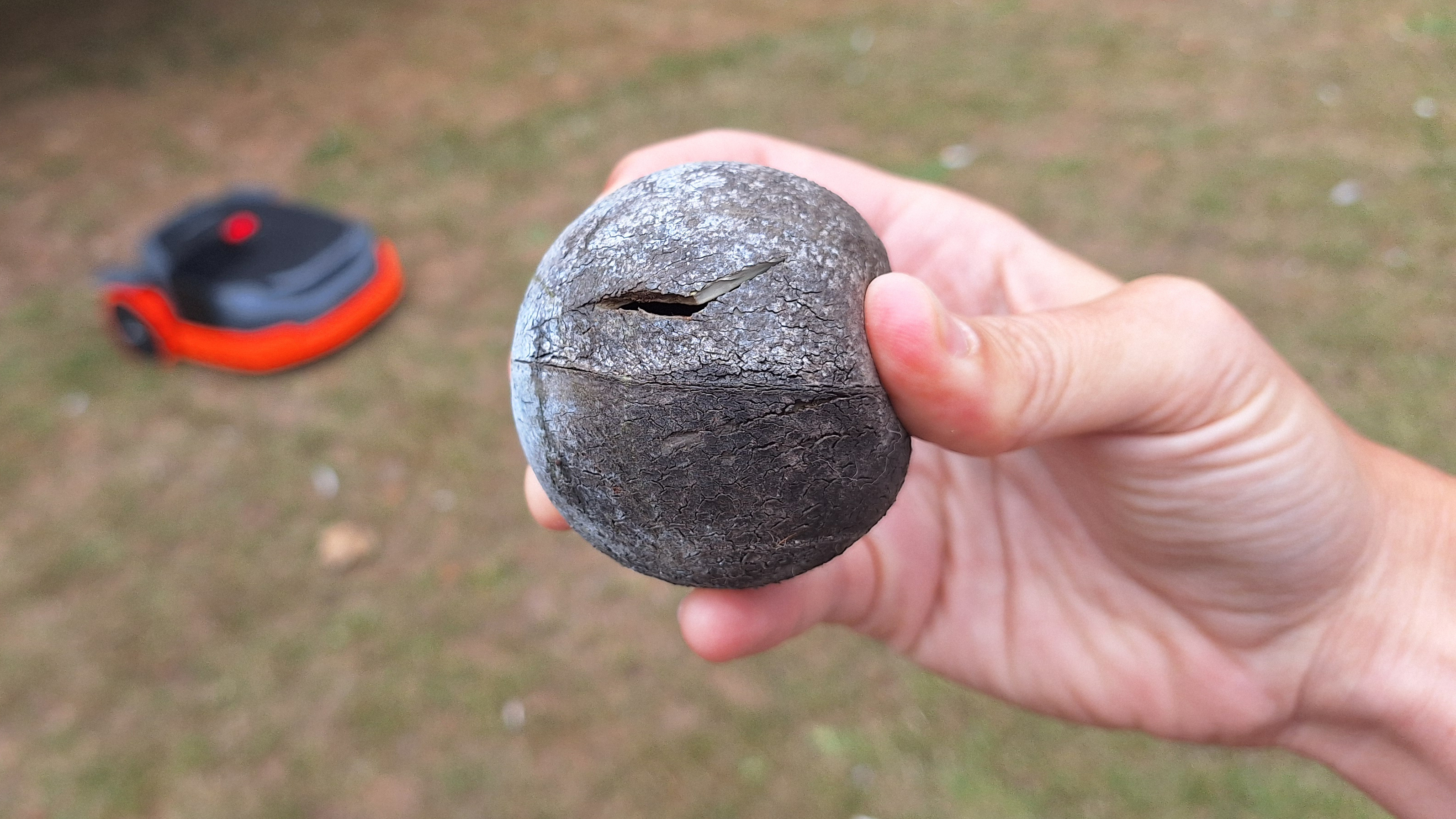 Ball with cuts from being mowed over by Segway Navimow X350
