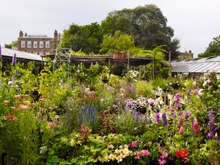 Petersham Nurseries gardens filled with flowers and cafe entrance