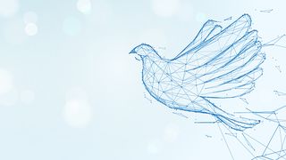 A dove symbolising peace