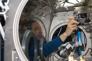 In the International Space Station's Destiny laboratory, Japan Aerospace Exploration Agency astronaut Satoshi Furukawa, Expedition 29 flight engineer, activates the Microgravity Science Glovebox (MSG) on Oct. 17, 2011 in preparation for work with the Sele