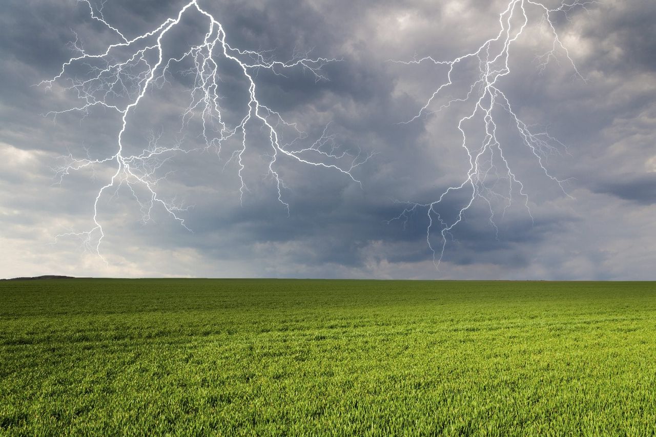 Sky Full Of Lightning Over Green Field