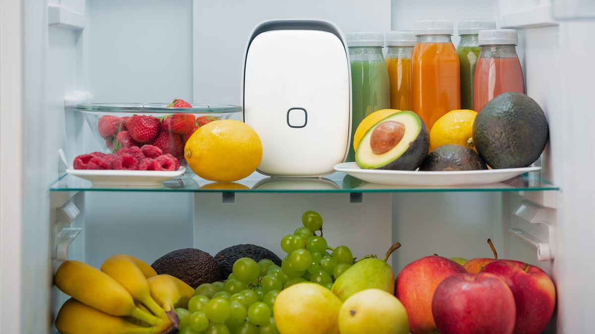 VITESY SHELFY Smart Device voor de koelkast, mat wit, houdt levensmiddelen langer vers en vermindert voedselafval, neutraliseert geurtjes, IoT- technologie, fotokatalytisch filter