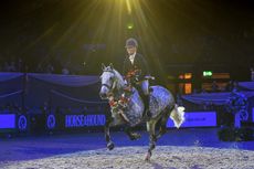Woodfield Jovial Joker and Mollie Jeffrey win the 143cm working hunter pony of the year final at HOYS 2021